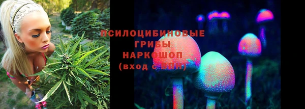 СК Краснослободск