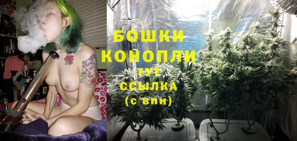 СК Краснослободск