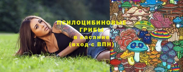 дмт Краснотурьинск
