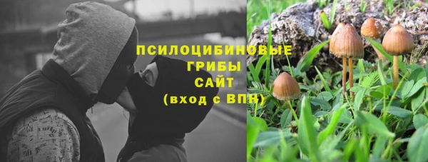 СК Краснослободск
