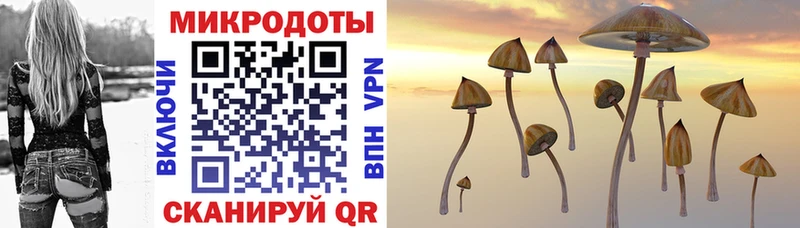 Галлюциногенные грибы GOLDEN TEACHER  Купить где  Семёнов 
