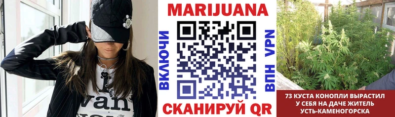 Купить закладки  Семёнов  Канабис конопля 